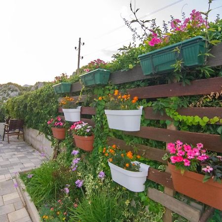 Village Holiday Apartman With Heated Pool Maslina Kostanje Екстер'єр фото